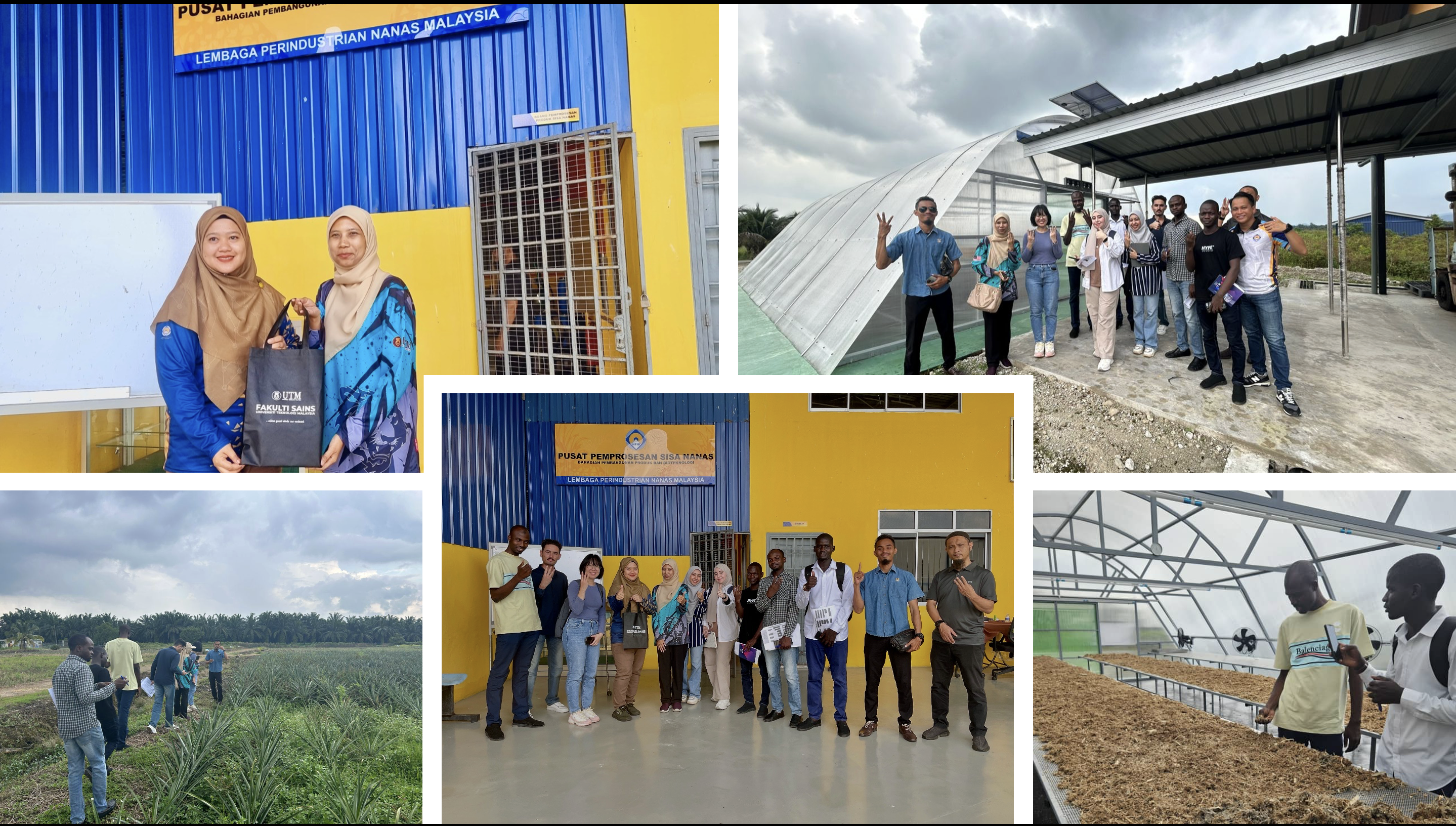 Lembaga Nanas Visit