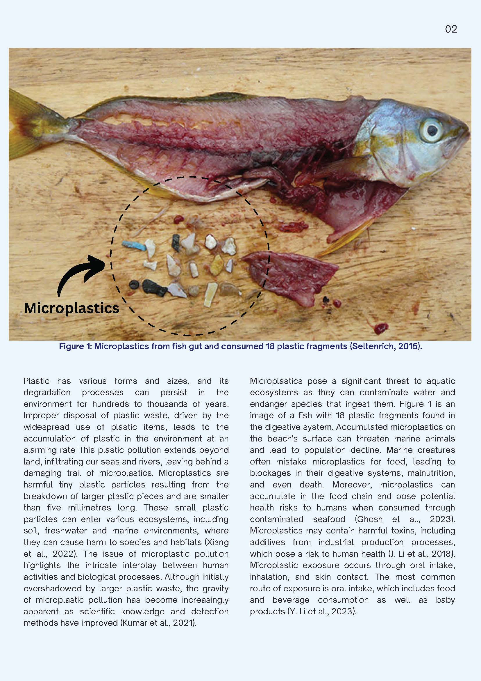 FRESH Apr. Ed. 012024 (HAZARDOUS MICROPLASTICS)_Page_2